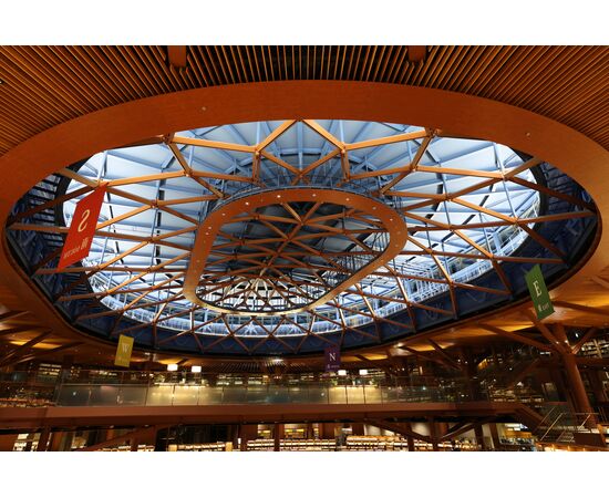 CANON RF 20mm f/1.4L VCM